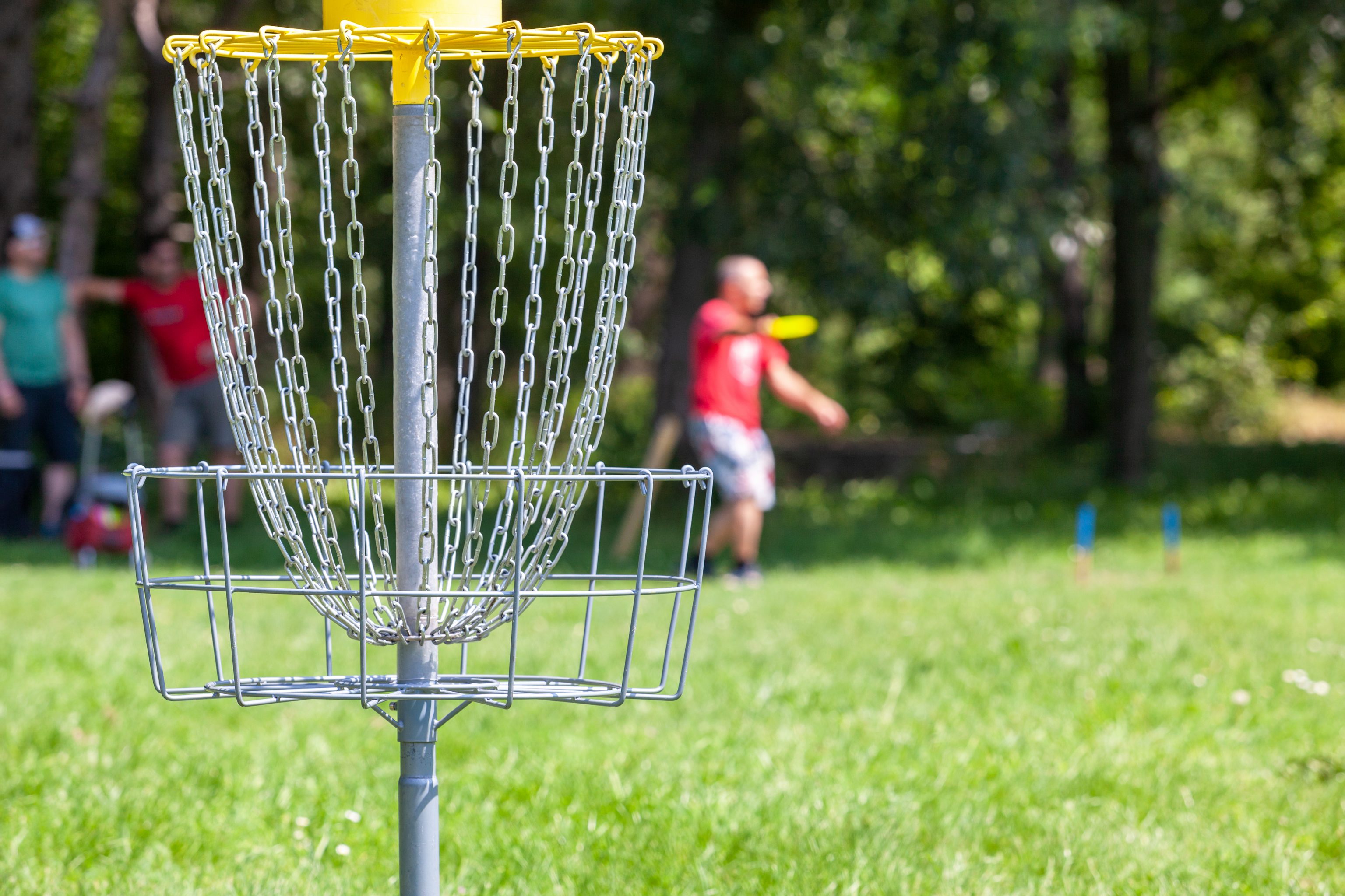 Disc Golf Dicks